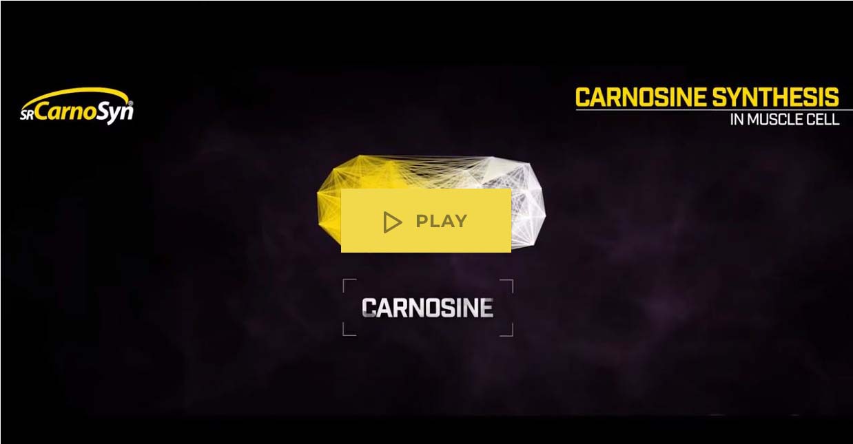 science of carnosine