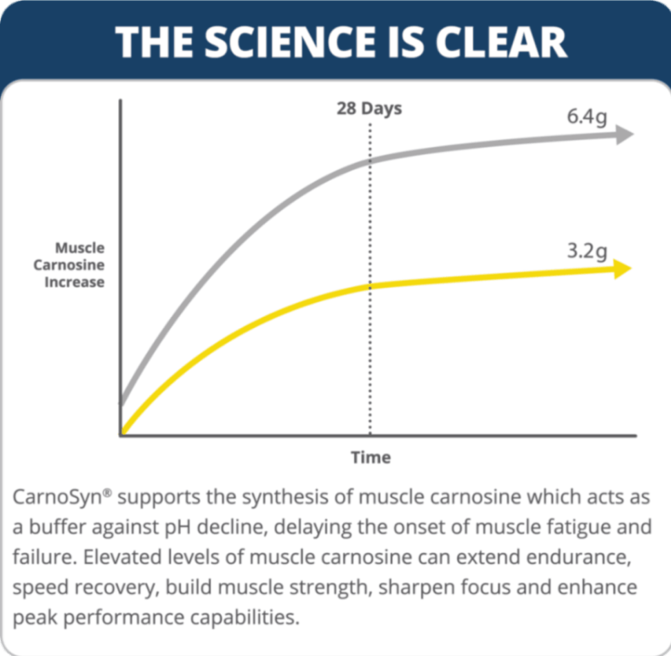 CarnoSyn Science chart