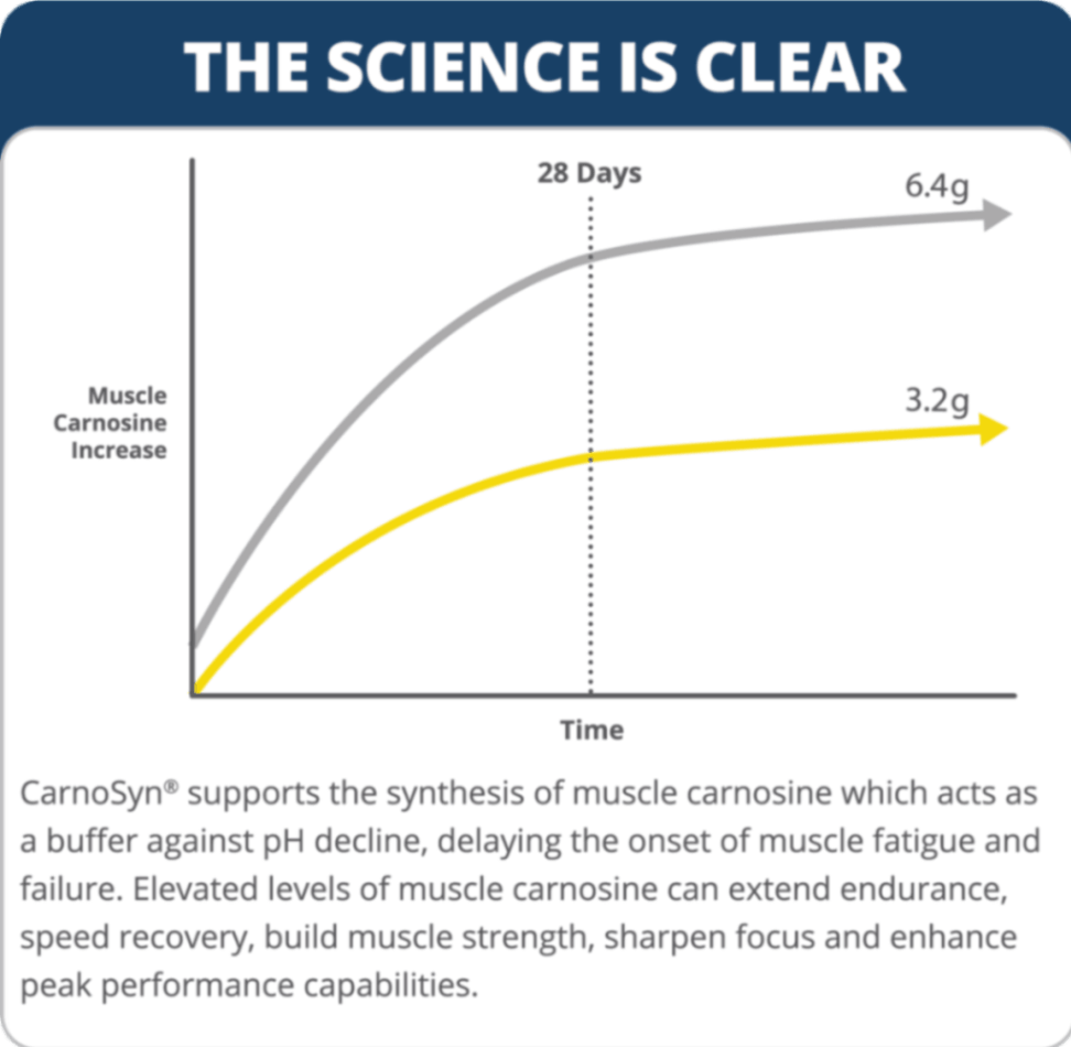 Science of beta alanine