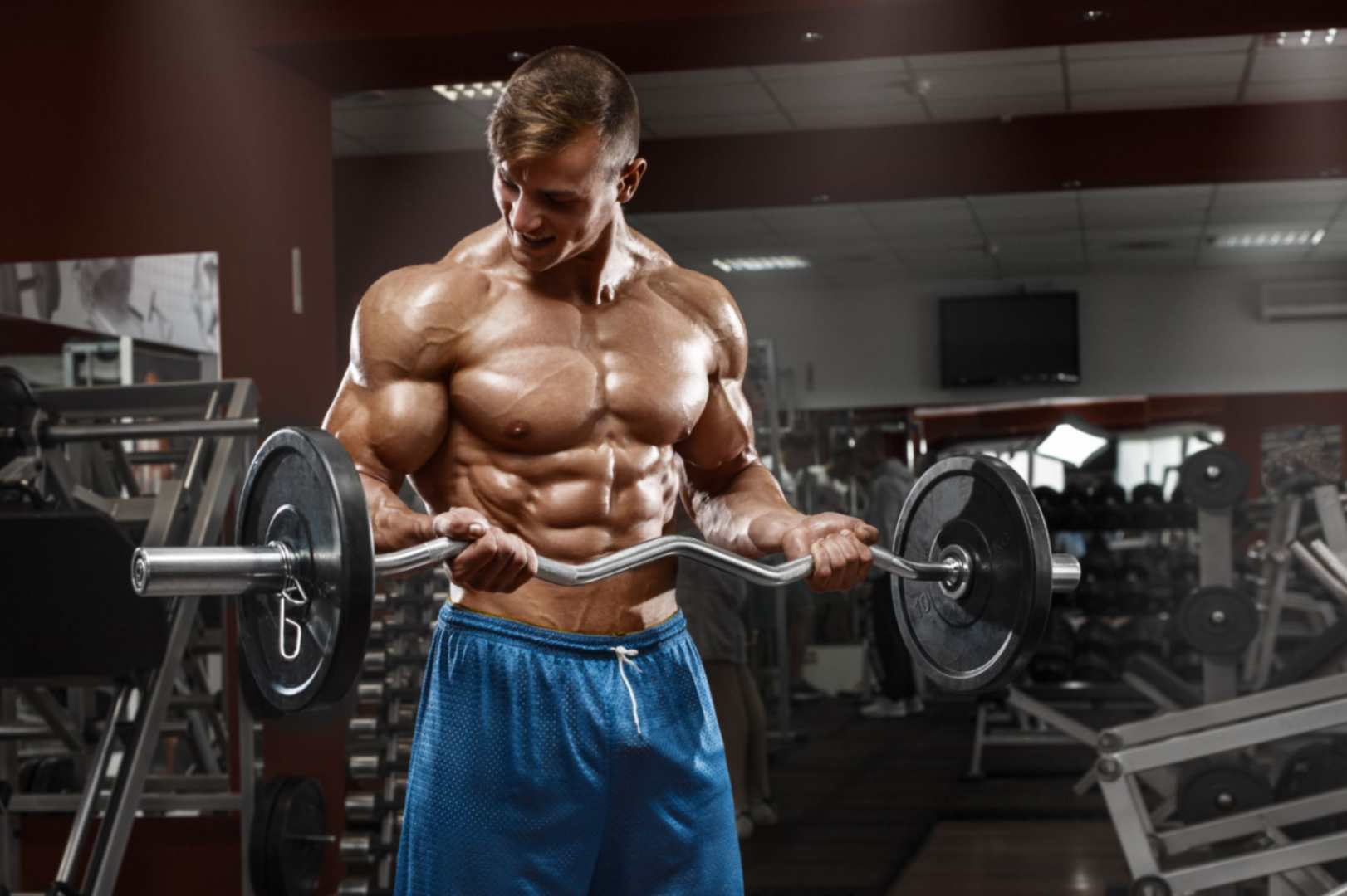 beta-alanine for bodybuilders