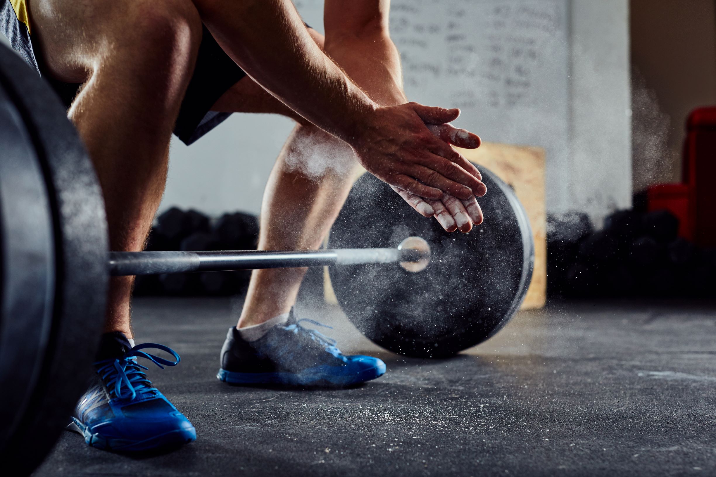 Top Ways To Build Muscle