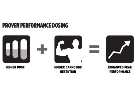 DOSING TIMELINE