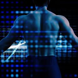 How CarnoSyn® Works: Beta-Alanine’s Mechanism of Action in the Body